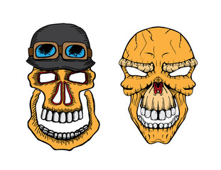 vector skull set