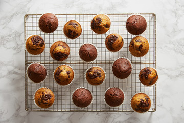 Fresh made chocolate muffins