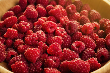 raspberries in a plate,in wooden bowl,basket/bush branch/growing raspberries,raspberries background closeup photo,high resolution product,Delicious first class organic fruit,Raspberry as background