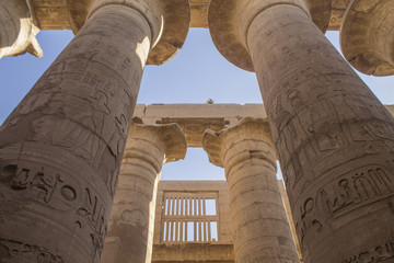 Pillars at Luxor Temple, Egypt
