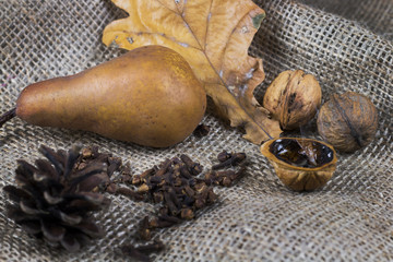 Autumn still life with leaf, nuts, pear and cone on brown fabric.