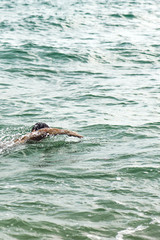 The vertical view of man is swimming into the water at the sea. Concept sport and training