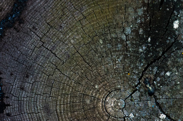 Fototapeta premium Front view of Dark grey old timber texture or background