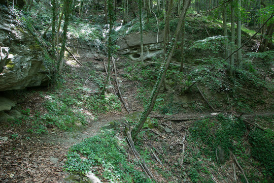 Sentiero, valle della Volpara, Umito, estate 
