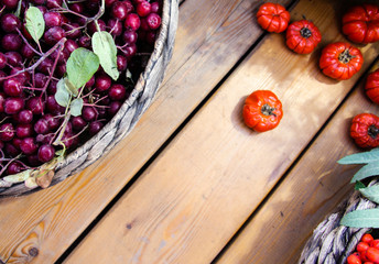 Ripe ashberry on a wooden table
