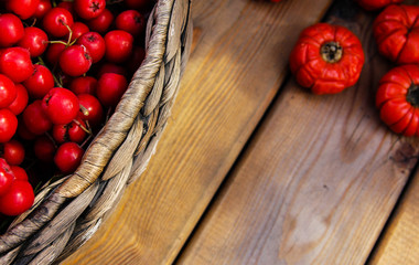 Ripe ashberry on a wooden table