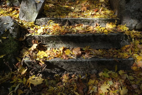 alte Granitstiege mit farbigen Blättern