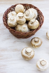 fresh mushrooms in a basket on the wooden table.