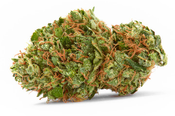 Close up of prescription medical marijuana strain AK47 flower on white background