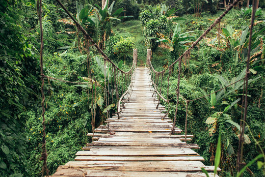 Wide shot of wooden rope hung bridge in the jungle