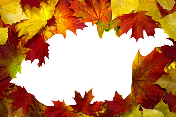 Naklejka na ściany i meble Autumnal background pattern, maple leaves elements blank space for text, isolated white center.