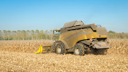 yellow combine harvester at work