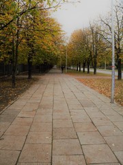 Autumn alley
