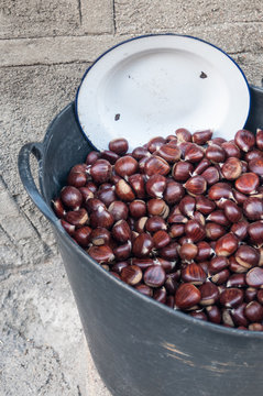Chestnuts in a basket