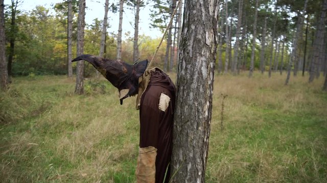 Horror Scarecrow standing in the forest with Sackcloth Mask