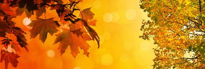 Goldener Herbst