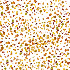 Goldener Herbst auf weissem Hintergrund