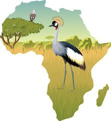 African savannah with crowned crane and eagle vulture - vector illustration