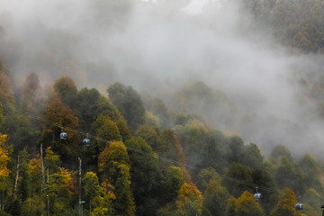 Panorama of the foggy winter landscape