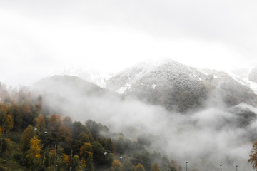 Panorama of the foggy winter landscape