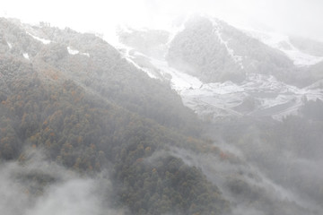 Panorama of the foggy winter landscape