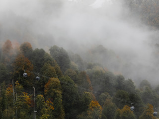 Panorama of the foggy winter landscape