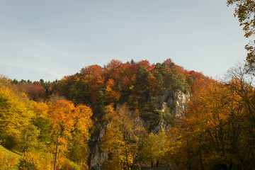 Mountain with trees and blue sky in autumn landscape