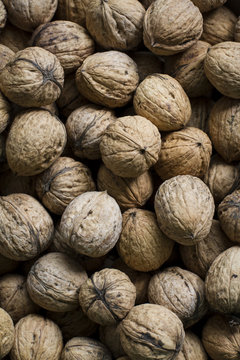 pile of walnuts