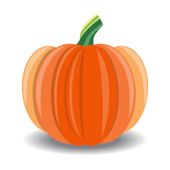 Isolated Pumpkin Vector Illustration on White Background 2