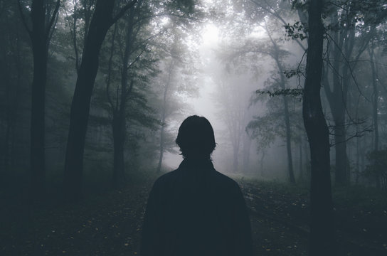 Man in mysterious forest with fog