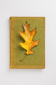 Autumn leaf on the cover of an old book from above