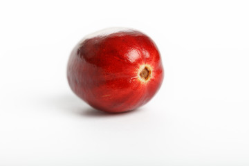 red cranberry fruit