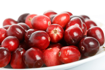 red cranberry fruit