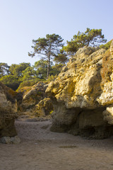 Fototapeta na wymiar Typical exposed sedimentary sand stone cliff face on the Praia da Oura beach in Albuferia with Pine trees at the top