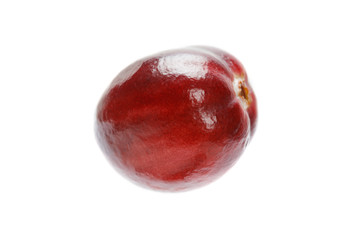 red cranberry fruit