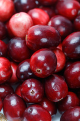 red cranberry fruit
