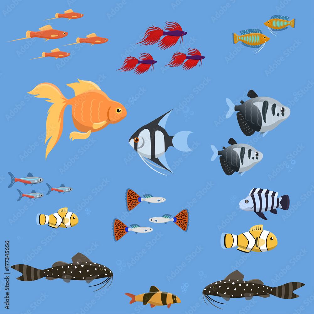 Wall mural Exotic tropical aquarium fish different colors underwater ocean species aquatic nature flat vector illustration - Wall murals
