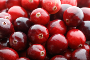 red cranberry fruit