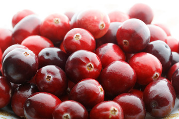 red cranberry fruit