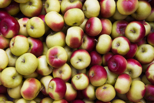 Apples in Barrel At Farmer's Market