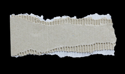 paper tear background with copy space