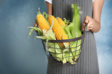 Woman holding basket with fresh corn cobs on grunge background