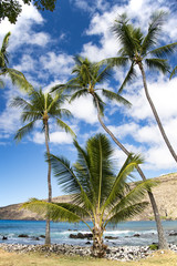 Fototapeta premium MANINI Beach,Big Island,Hawaii