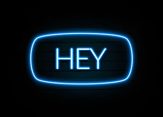 Hey  - colorful Neon Sign on brickwall