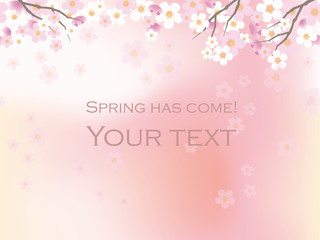 シームレスな桜の背景