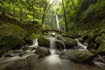 Jumog Waterfall