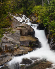 A fast moving mountain stream in Mount Rainier National Park.