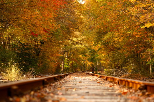 Fall Train Track Path