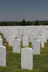 Soldiers Graves