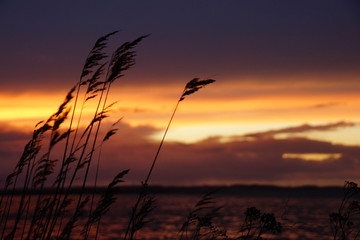 Sonnenuntergang in der Geltinger Birk